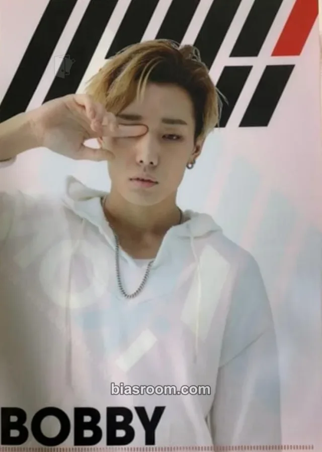 iKON - Bobby - Japan Tour 2016-2017 Event merch inclusion clear file/l-holder transparent/translucent