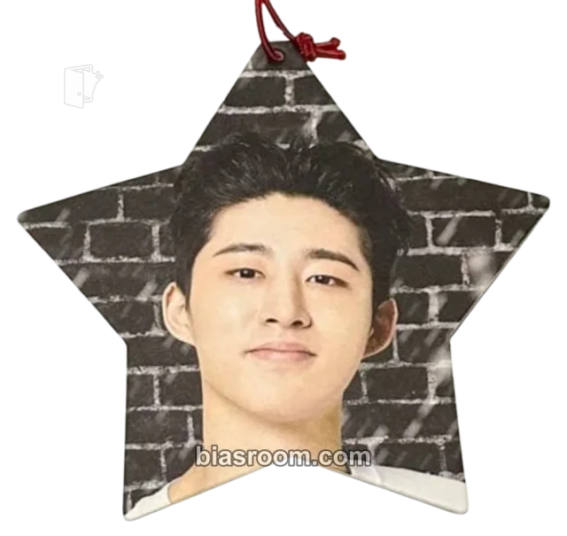 iKON - B.I - iKON Xmas 2017 Event merch inclusion ornament