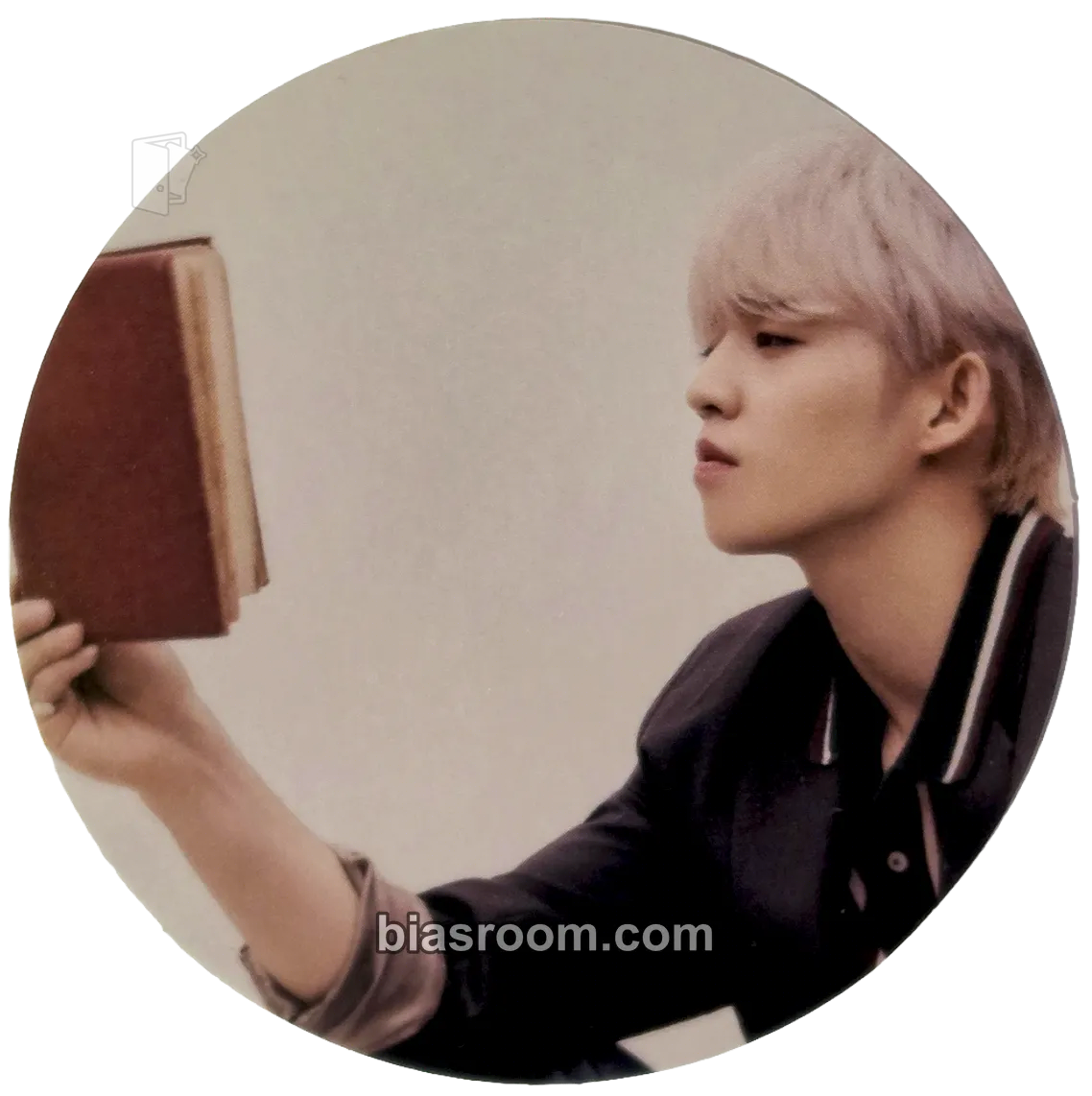 S.Coups An Ode Photocard - SEVENTEEN - SEVENTEEN K-pop photocard