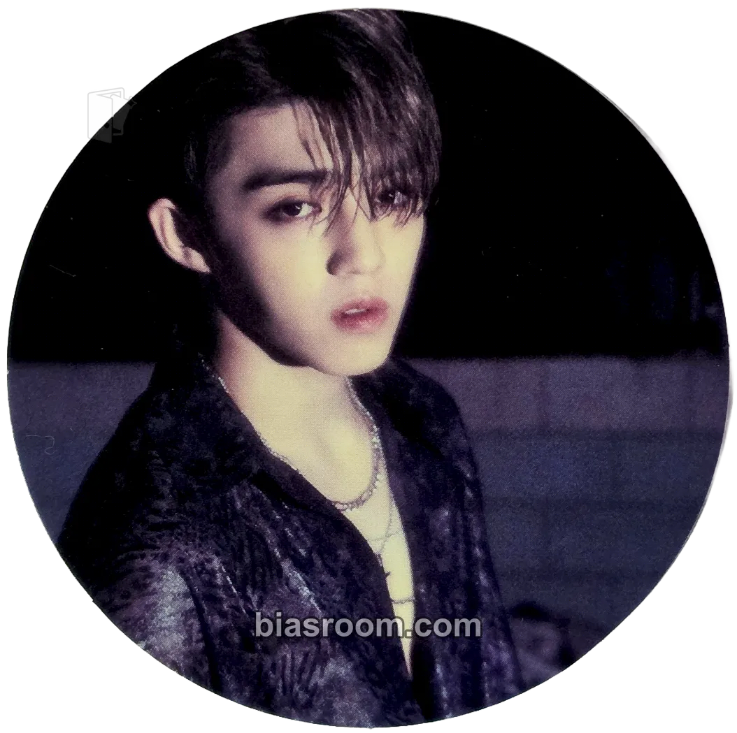 S.Coups An Ode Photocard - SEVENTEEN - SEVENTEEN K-pop photocard