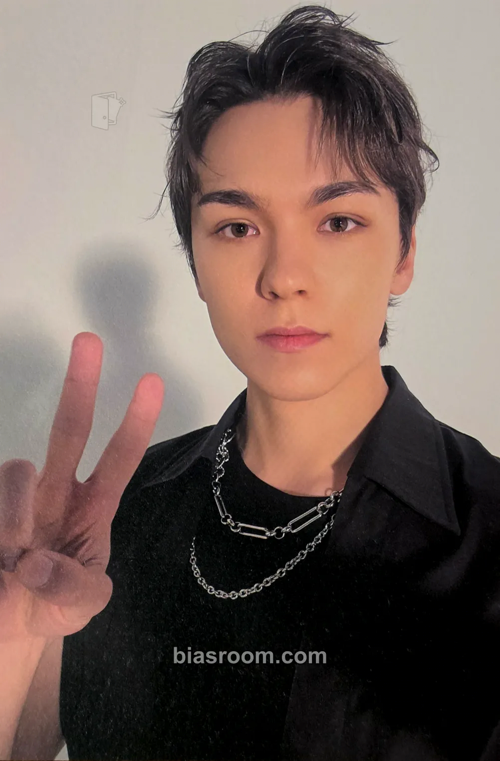 Vernon Spill the Feels Photocard - SEVENTEEN - SEVENTEEN K-pop photocard
