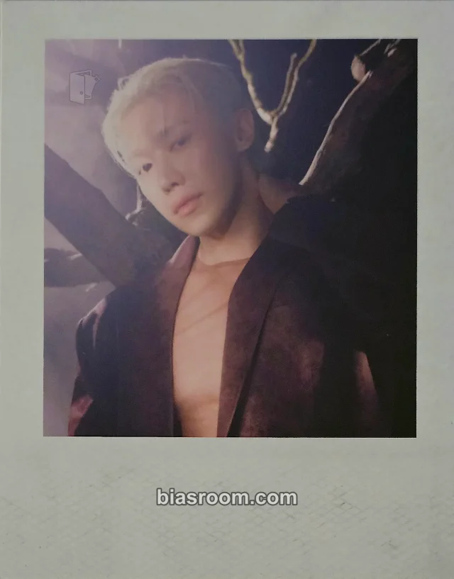 Wonho - Wonho - CORE Album album inclusion polaroid shell version raw version