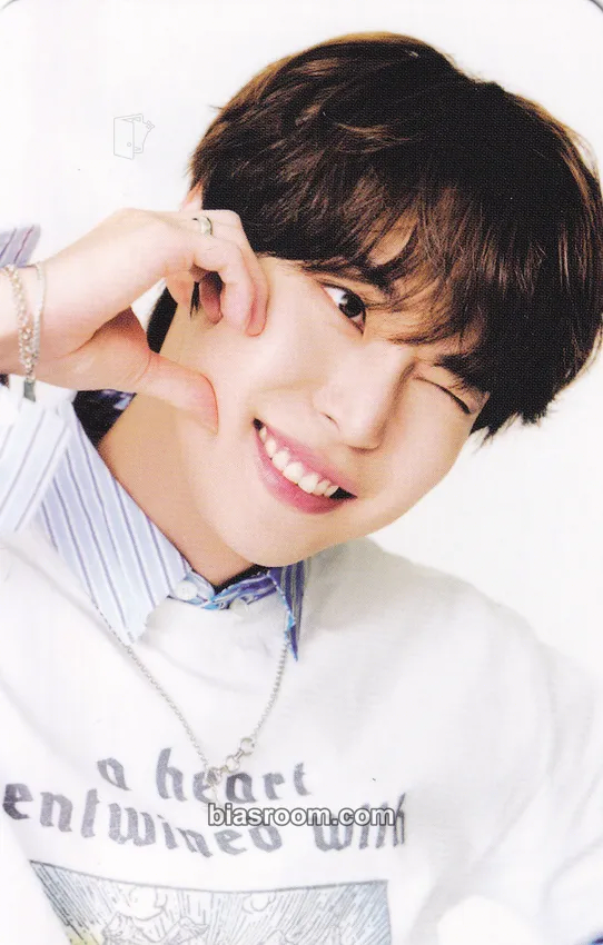 Doyoung Doors Photocard - NCT - NCT K-pop photocard