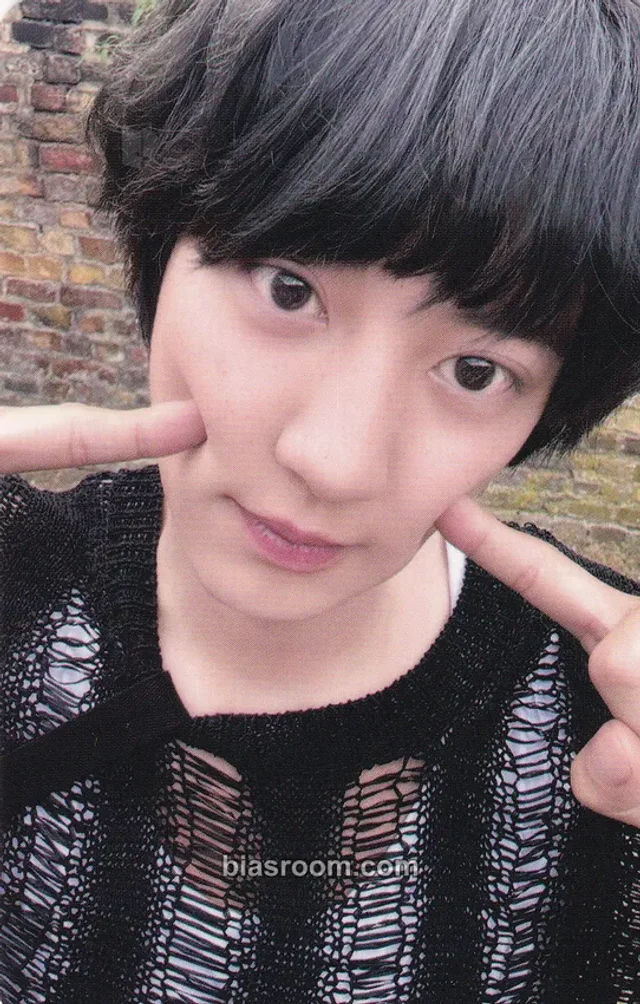 Chanyeol EXO Upside Down K-pop photocard