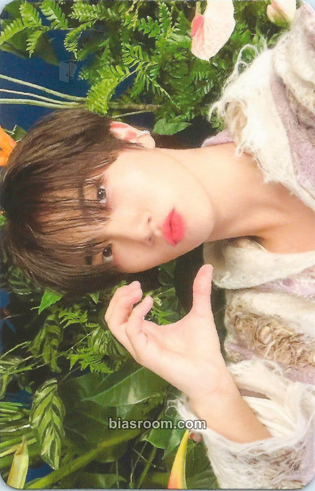 Wonjin EVERSHINE Photocard - CRAVITY - CRAVITY K-pop photocard