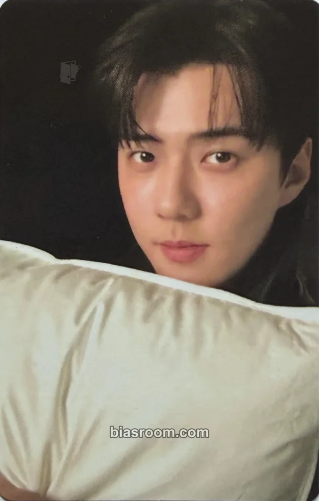 EXO - Sehun - EXO PLANET #6 – EXhOrizon Event merch photocard concert bead strap