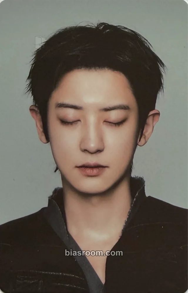 EXO - Chanyeol - EXO PLANET #6 – EXhOrizon Event merch photocard concert eye mask sleep kit