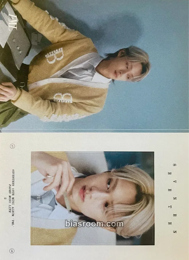 SEVENTEEN - Jun - FML Album sticker album inclusion faded mono life