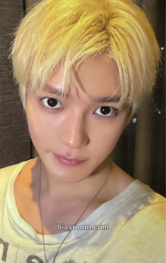 NCT - Taeyong - WYLD MD Other merch photocard