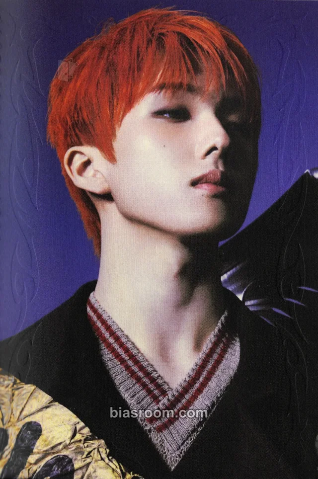 NCT DREAM - Jisung - Dream()scape Album smoothie version accordion postcard album inclusion
