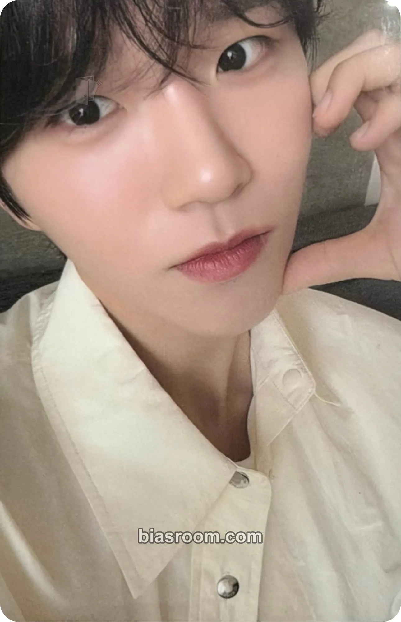 Jaehee Songbird Photocard - NCT WISH - NCT WISH K-pop photocard