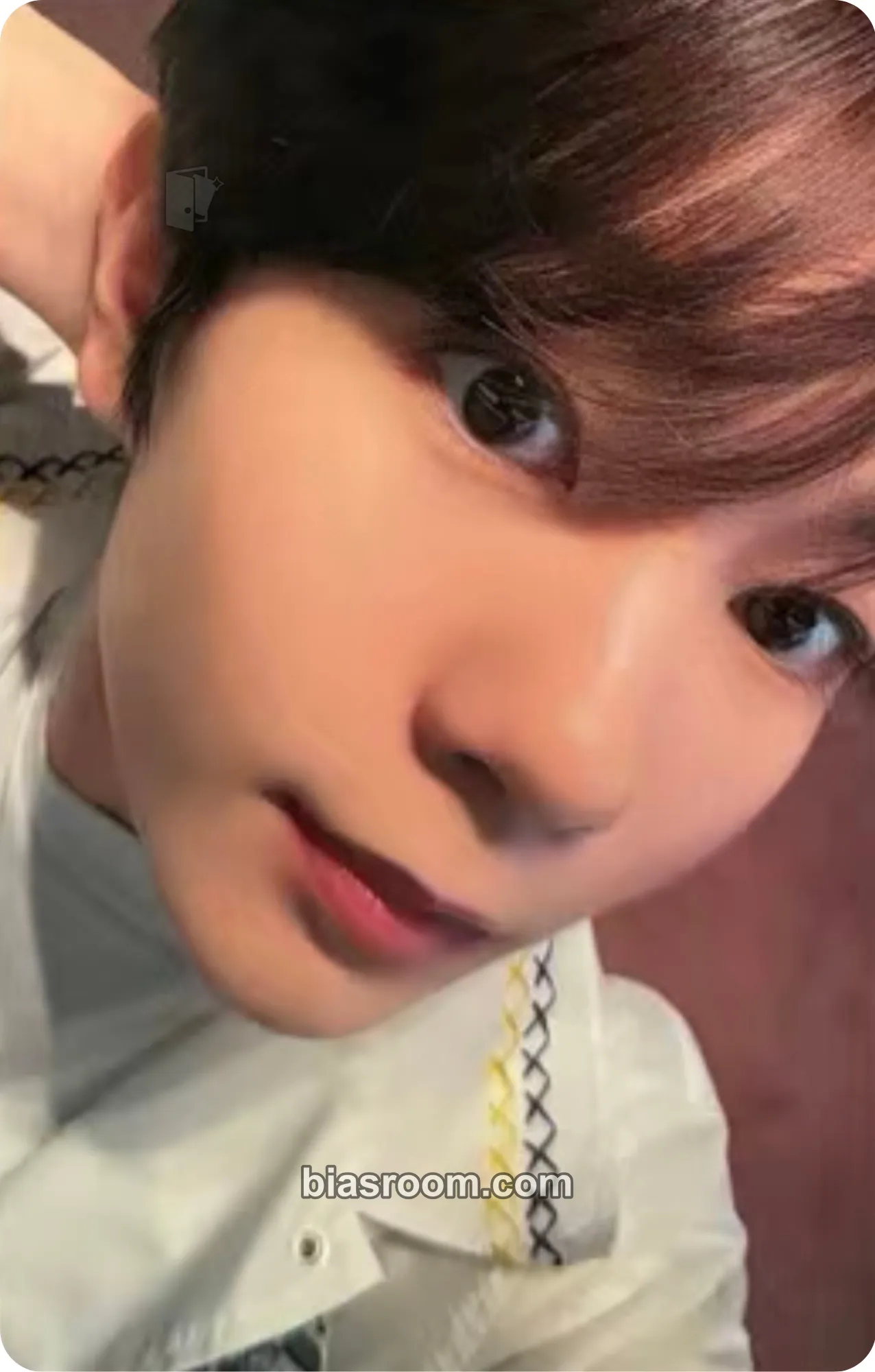 Ryo Songbird Photocard - NCT WISH - NCT WISH K-pop photocard