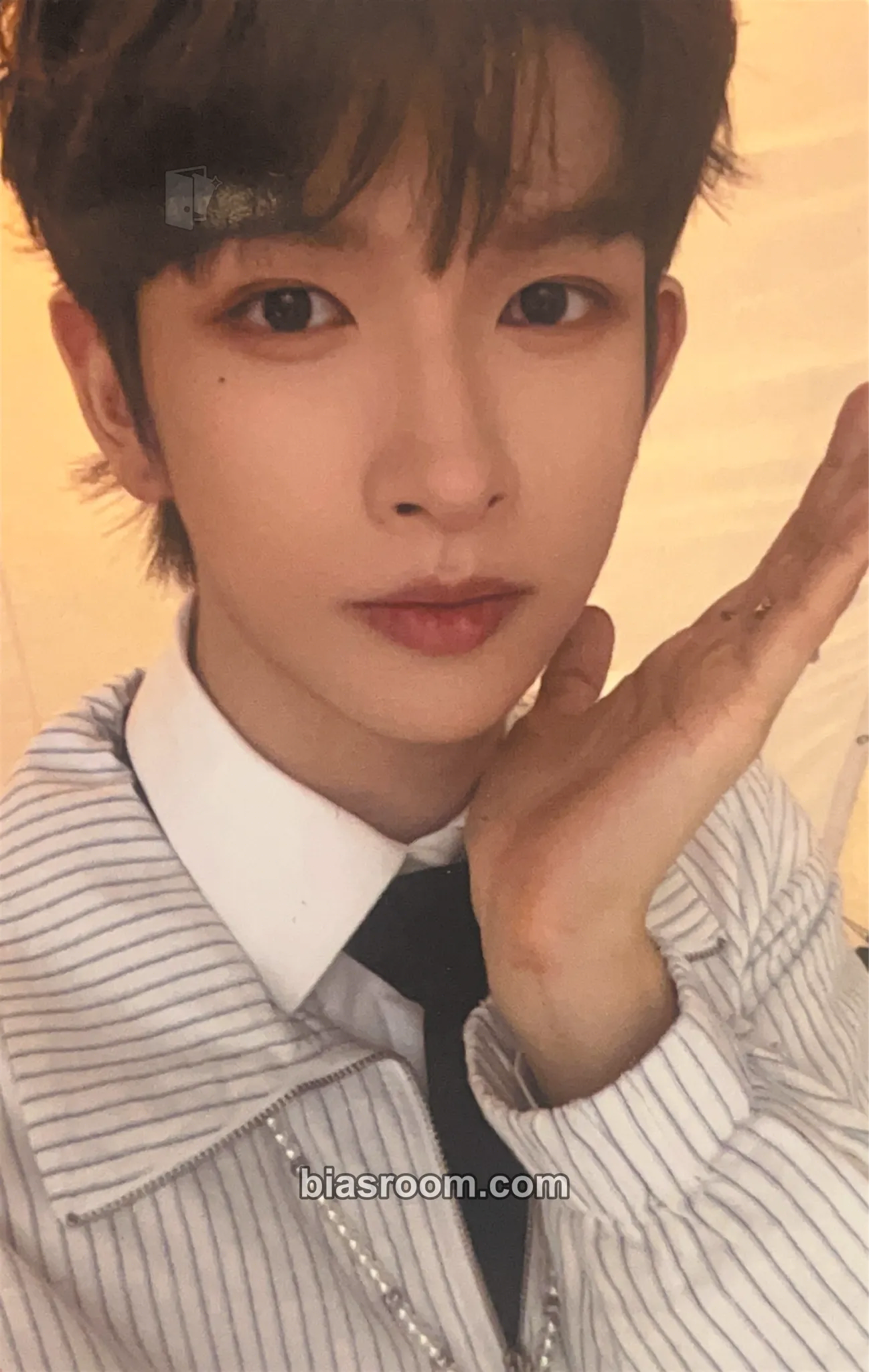 Xu Shihuan FREEFALL Photocard - POLARIX - POLARIX K-pop photocard