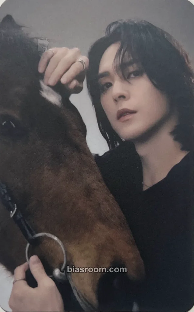 HIGHLIGHT - Son Dong-woon - Switch On Album still night version platform photocard set