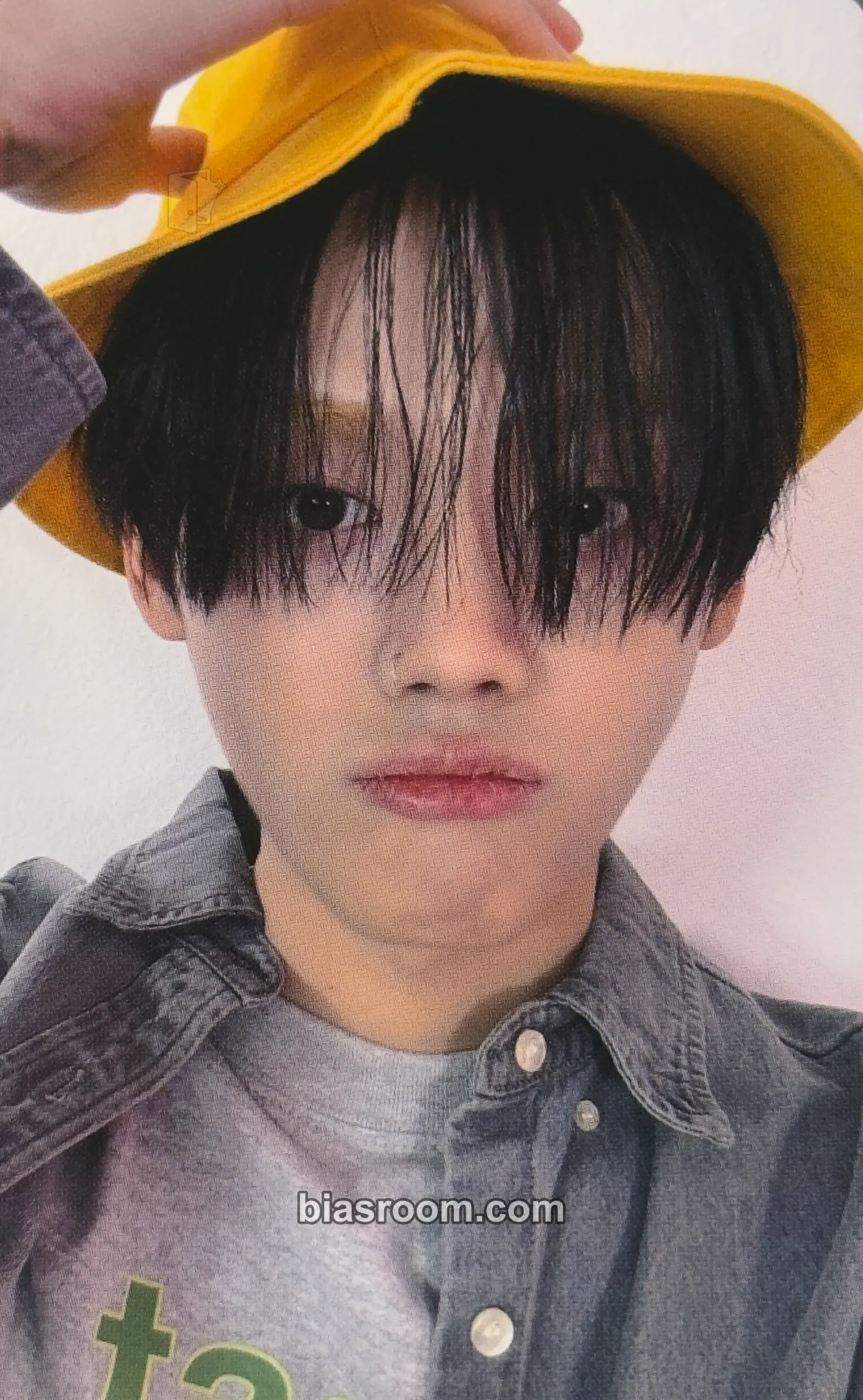 TAG Pink Crush Photocard - ONE PACT - ONE PACT K-pop photocard