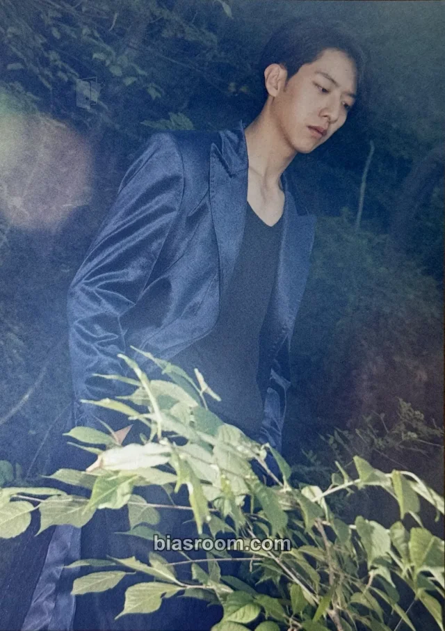 CNBLUE - Jungshin - 2gether Album album inclusion postcard
