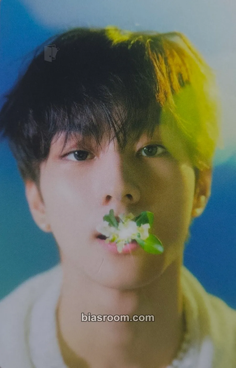 Jungwon ENHYPEN Lyrics Guide Binder Photocard - ENHYPEN - ENHYPEN K-pop photocard