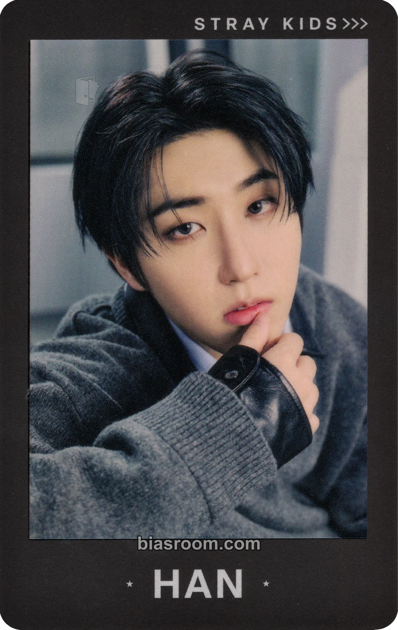 HAN RUN IT World Tour Photocard - Stray Kids - Stray Kids K-pop photocard