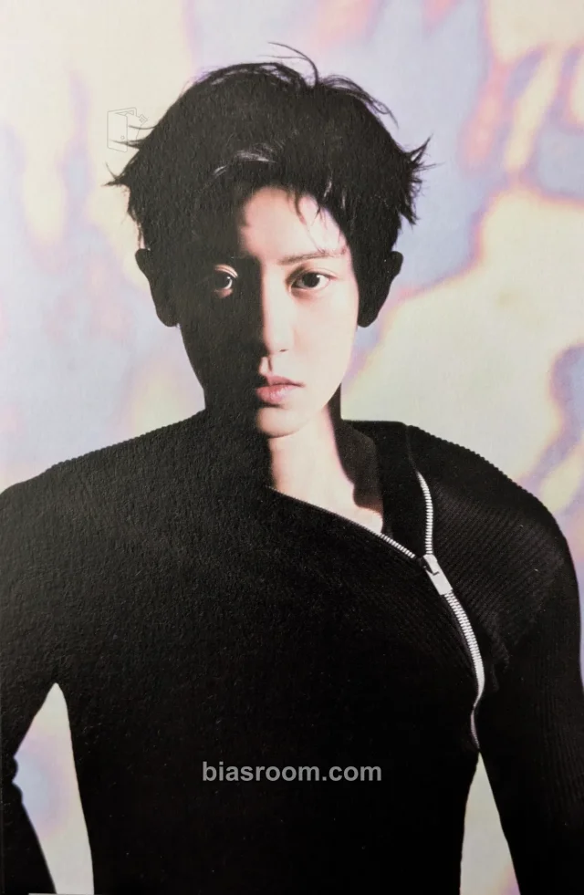 EXO - Chanyeol - REVERXE Album cube version message card album inclusion