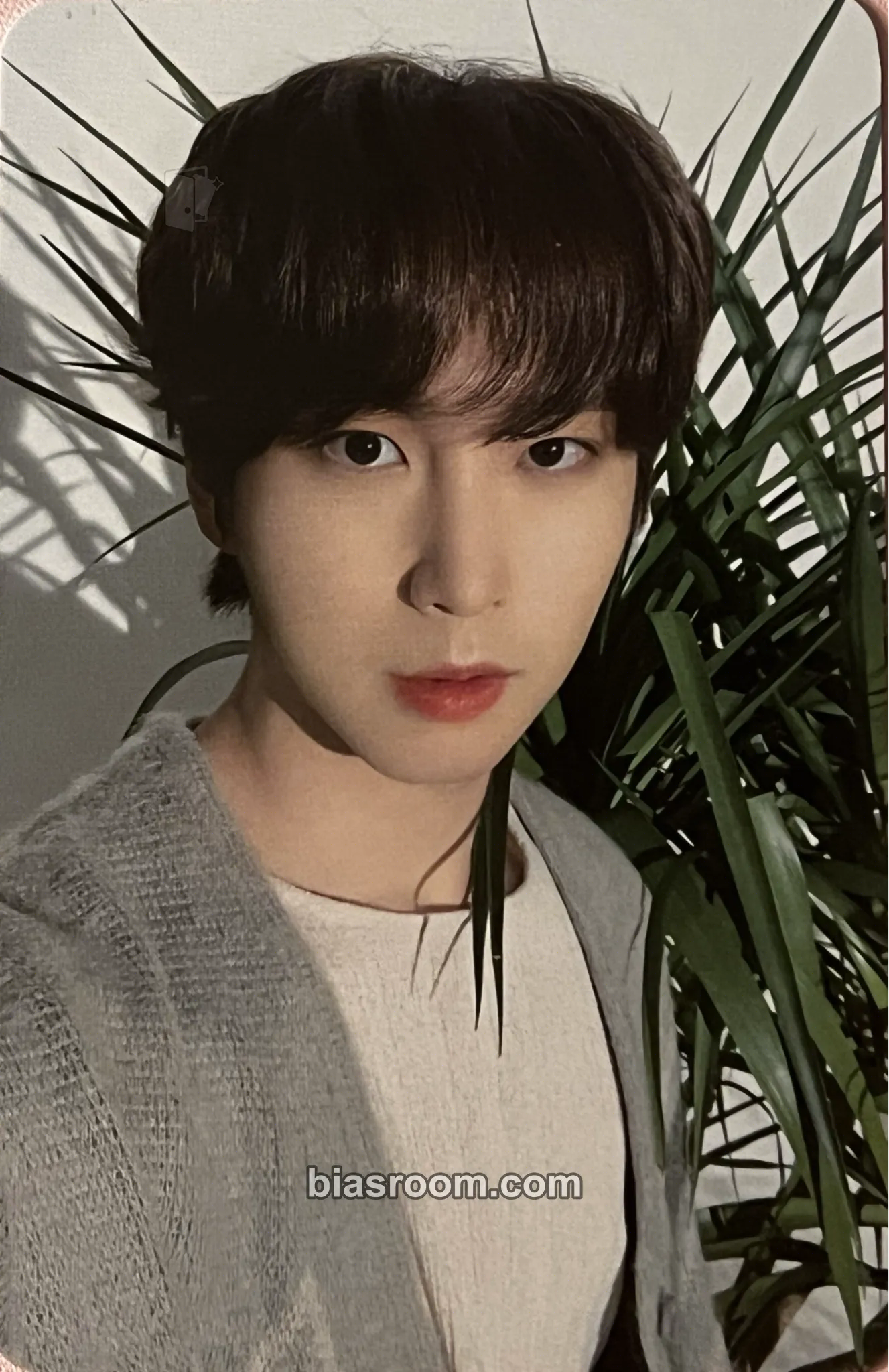Shinwon 2021 Season's Greetings Photocard - PENTAGON - PENTAGON K-pop photocard