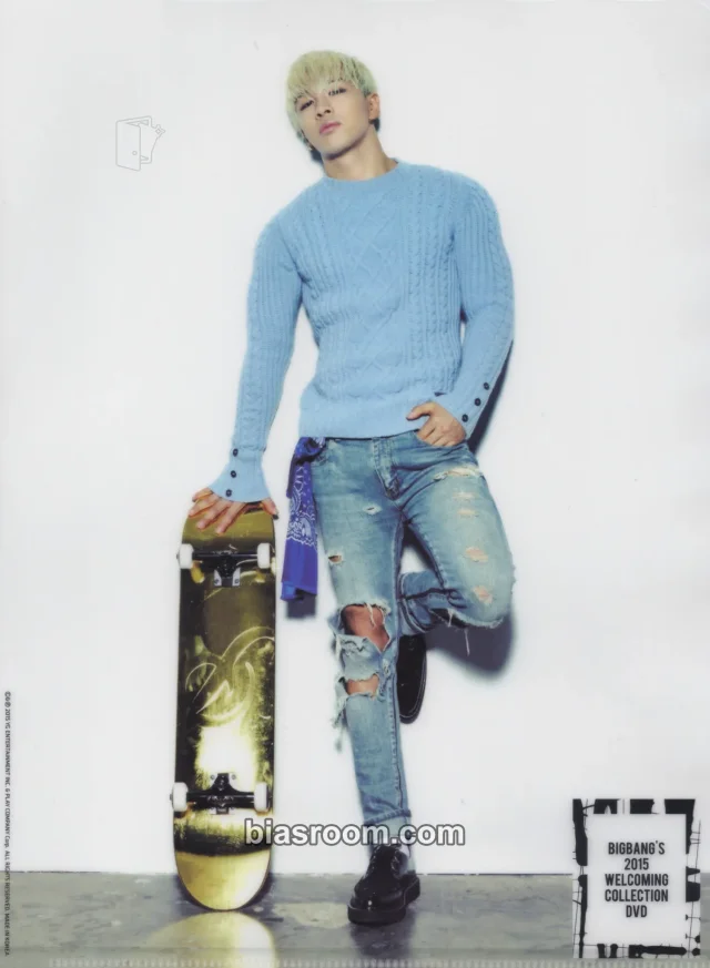 BIGBANG - Taeyang - 2015 Welcoming Collection DVD Other clear file/l-holder japanese version