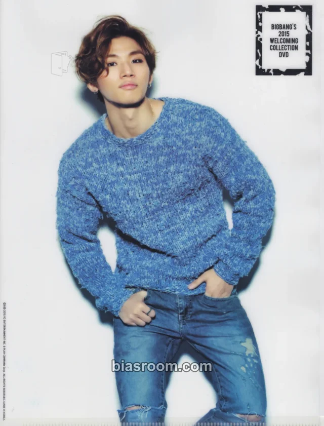 BIGBANG - Daesung - 2015 Welcoming Collection DVD Other clear file/l-holder japanese version