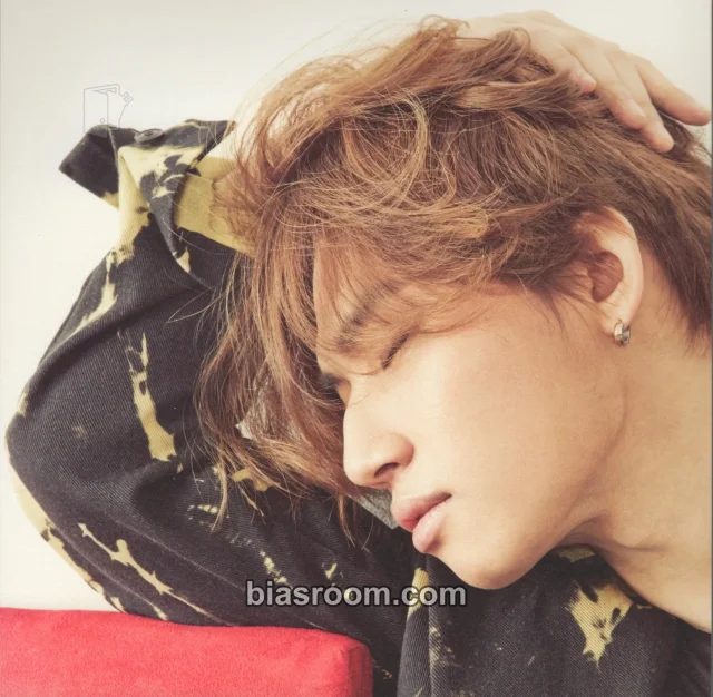BIGBANG - Daesung - 2015 Welcoming Collection DVD Other calendar