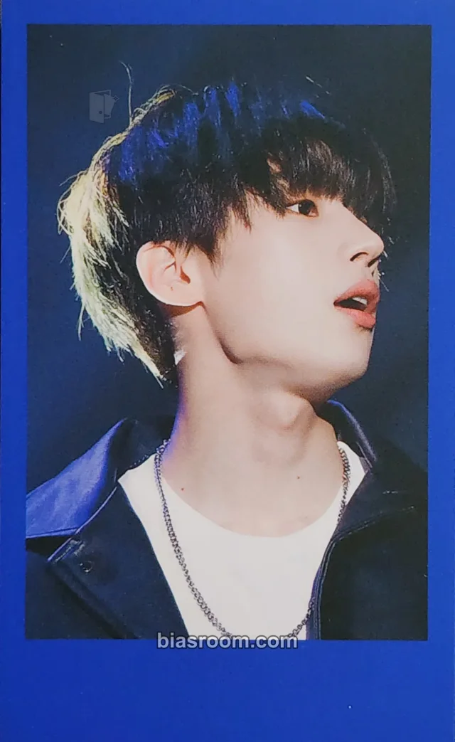 VICTON - Seungwoo - Fame Album polaroid
