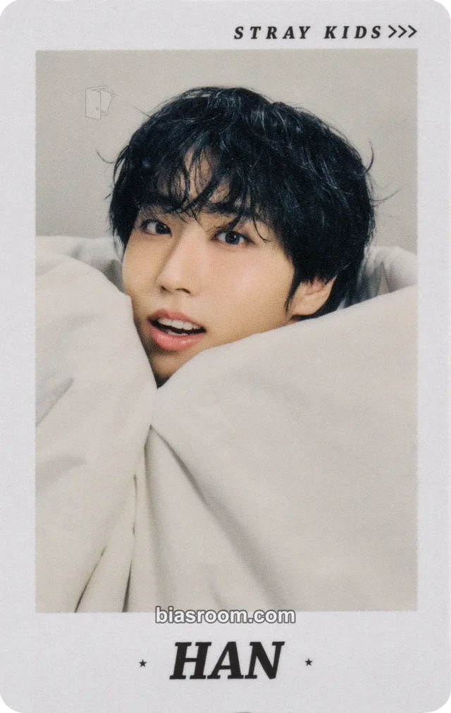 Stray Kids - HAN - RUN IT World Tour Event B version japan merch photocard polaroid item set
