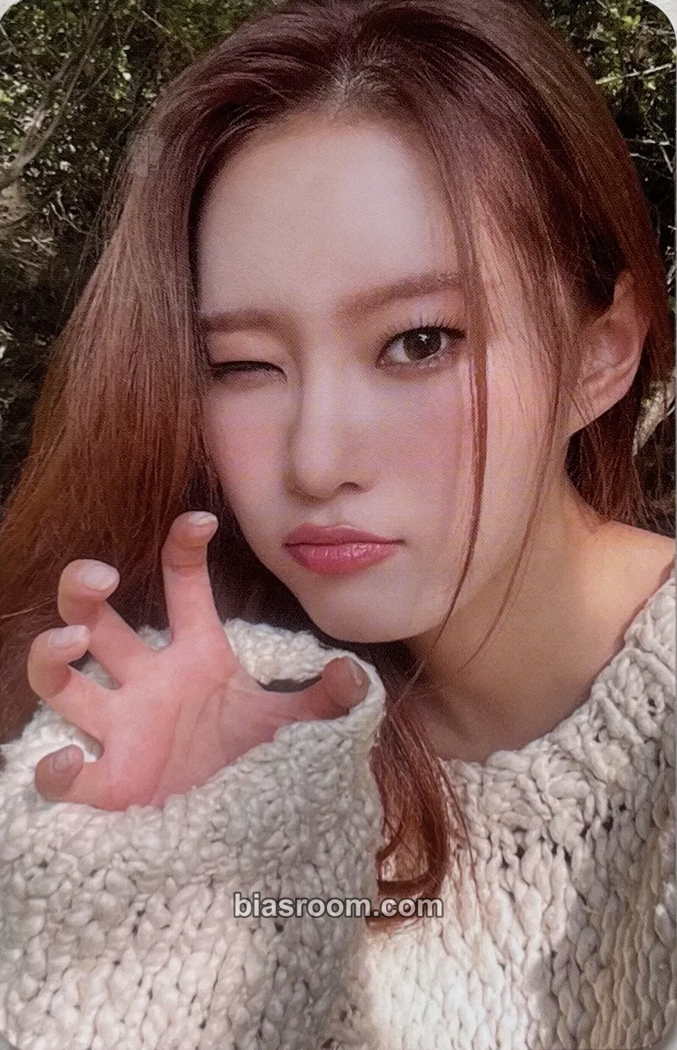 Monday ColoRise Photocard - Weeekly - Weeekly K-pop photocard