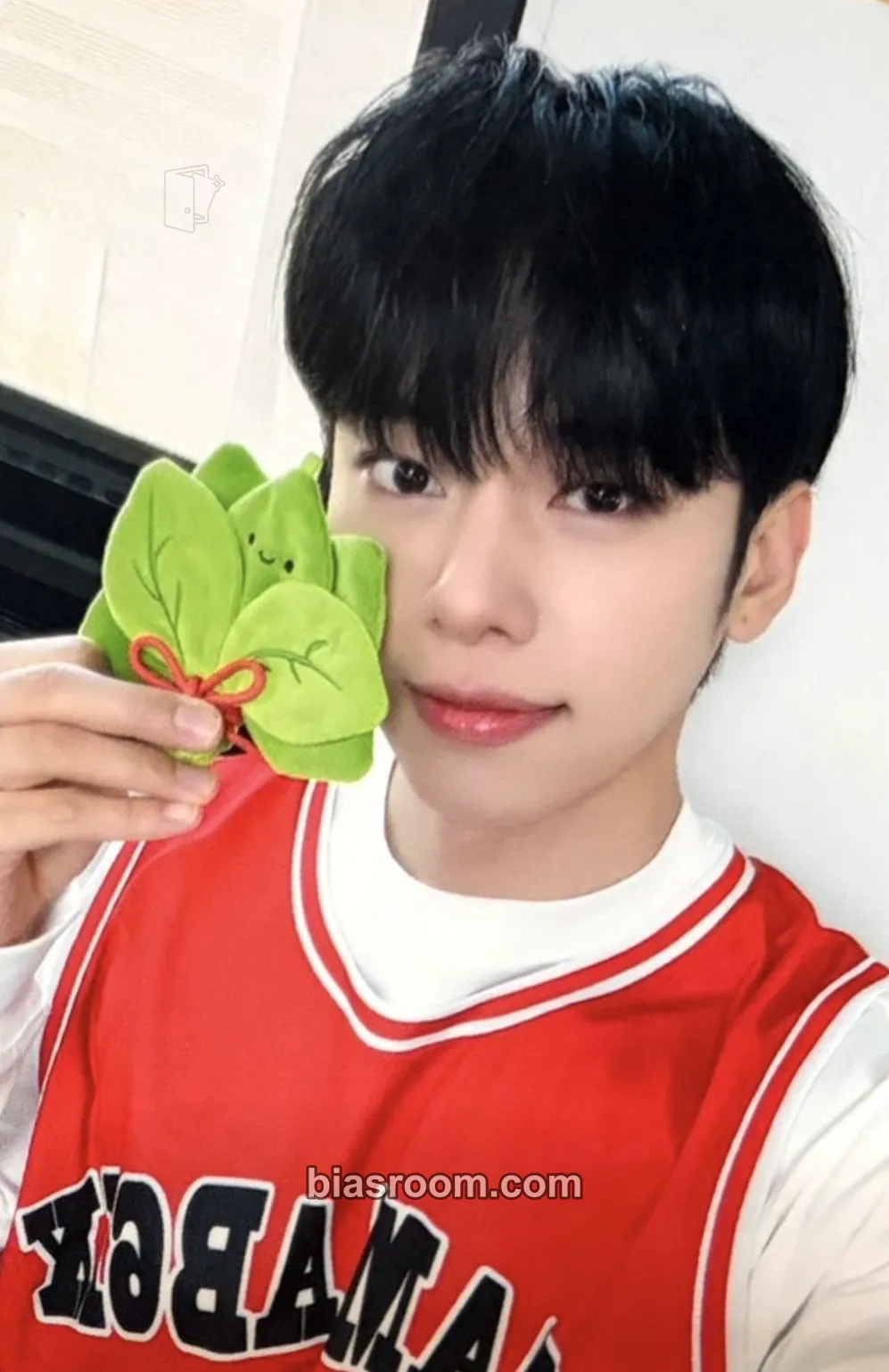 Donghyun SEVEN : CRIMSON HORIZON Photocard - AB6IX - AB6IX K-pop photocard