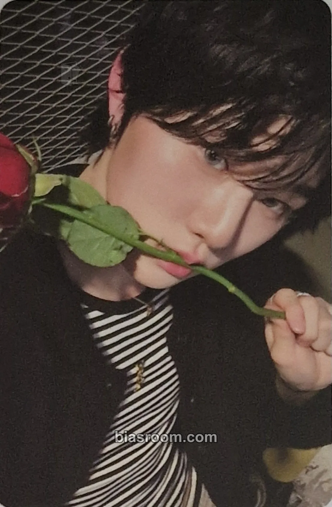 Ji Yunseo LOVE ANECDOTE(S) Photocard - EVNNE - EVNNE K-pop photocard
