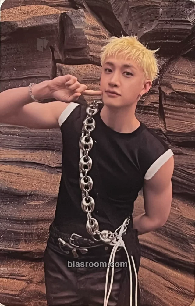 Stray Kids - Bang Chan - This & That Album retail exclusive target