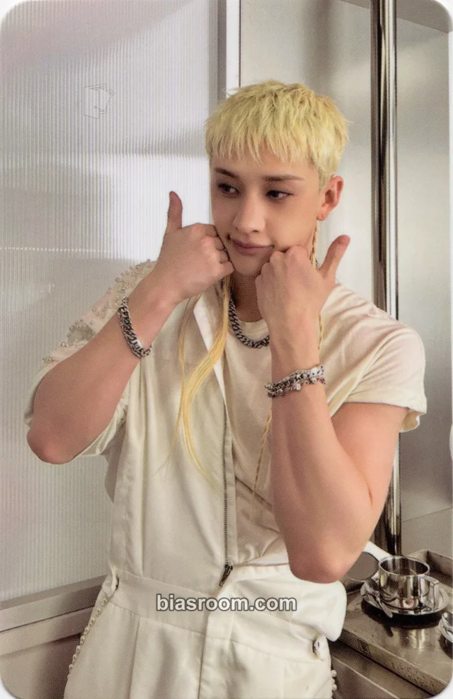 Stray Kids - Bang Chan - This & That Album barnes & noble (b&n) retail exclusive