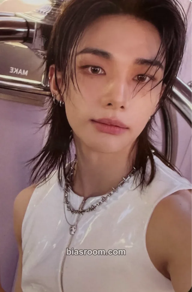 Stray Kids - Hyunjin - This & That Album album photocard truck version