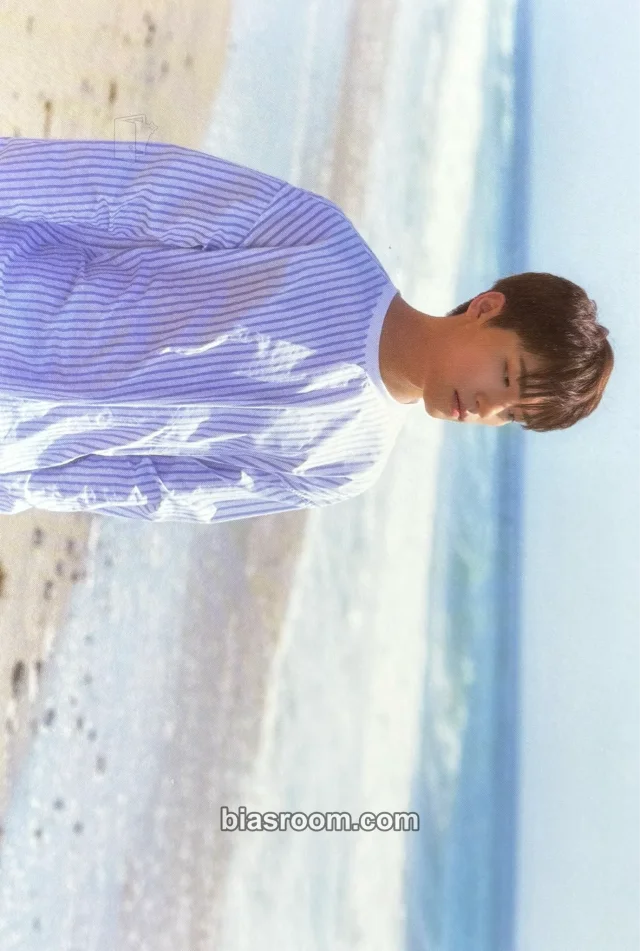 SEVENTEEN - Dino - Al1 Album album inclusion postcard