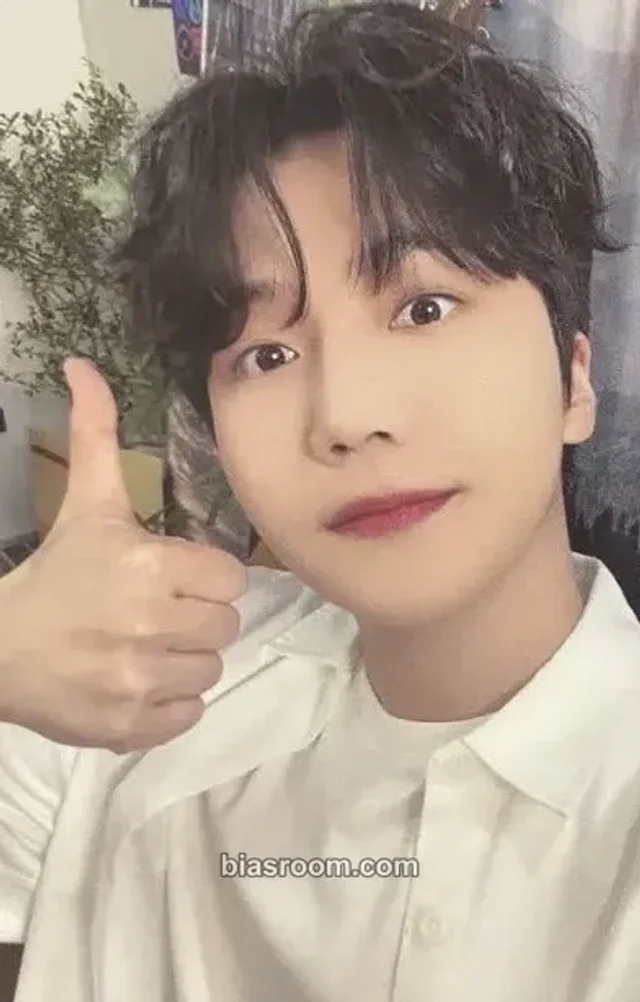 PENTAGON - Jinho - 2024 Jihno Fan-Con [Cho:rd] in Japan Event merch photocard concert japan item set