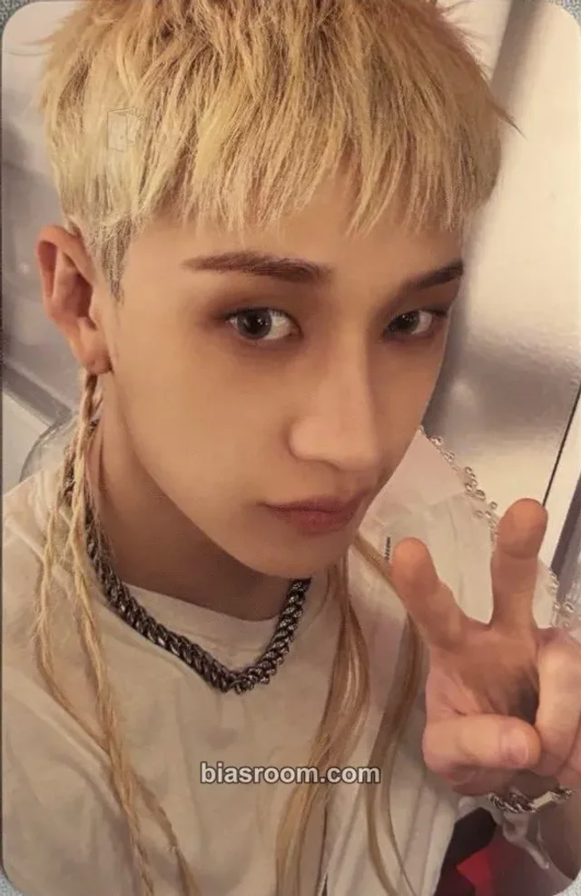 Stray Kids - Bang Chan - This & That Album album photocard lp version photocard set
