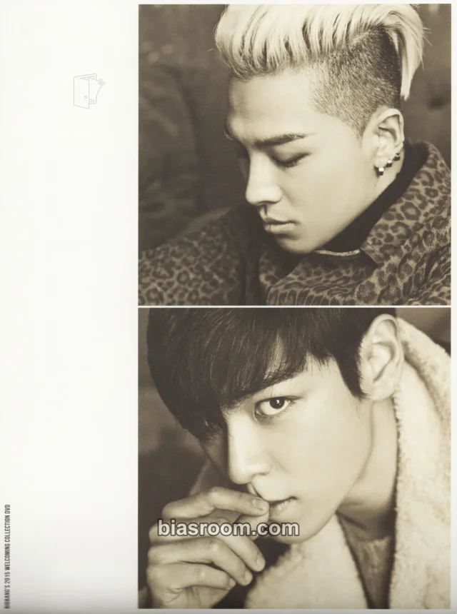 BIGBANG - Taeyang & T.O.P - 2015 Welcoming Collection DVD Other calendar japanese version