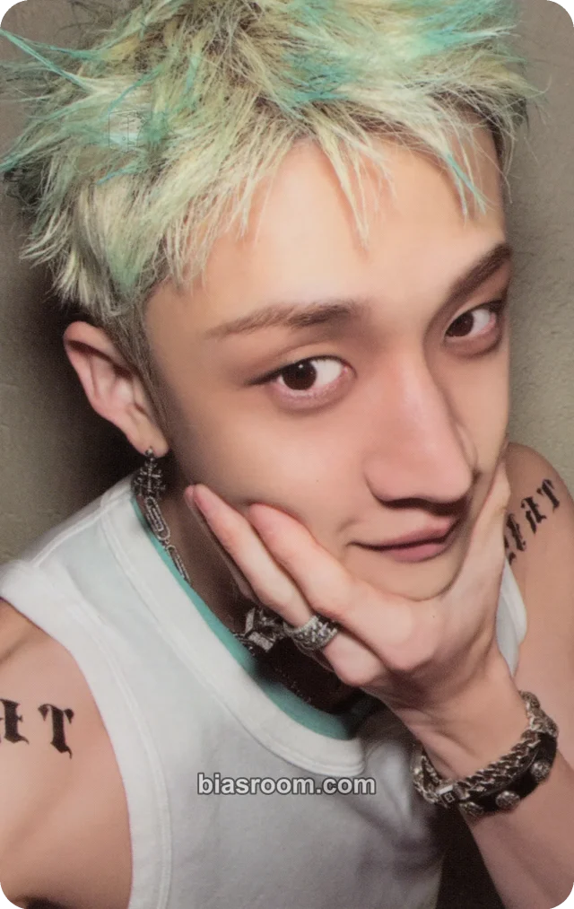 Stray Kids - Bang Chan - This & That Album album photocard that version