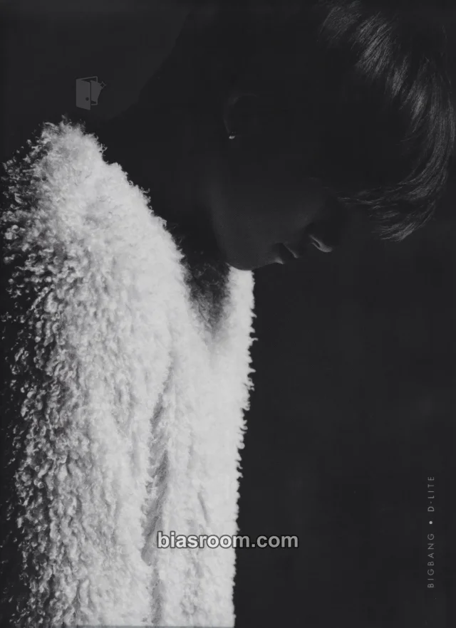 BIGBANG - Daesung - Big Bang 2016 Welcoming Collection DVD Other clear file/l-holder japanese version