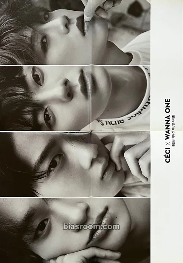 CeCi Korea Magazine Photocard - Wanna One - Wanna One K-pop photocard