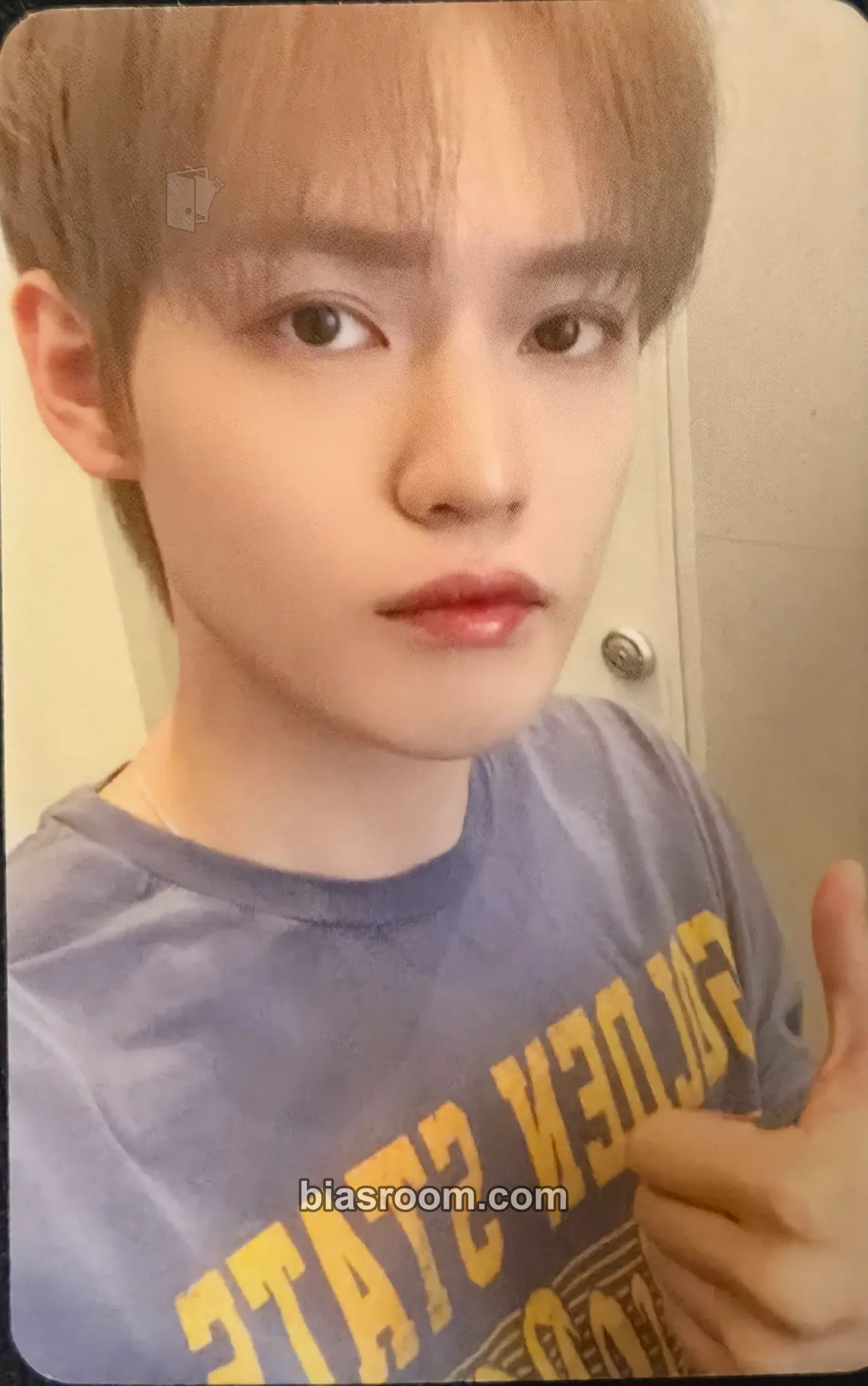 Chenle Dreamscape Photocard - NCT DREAM - NCT DREAM K-pop photocard