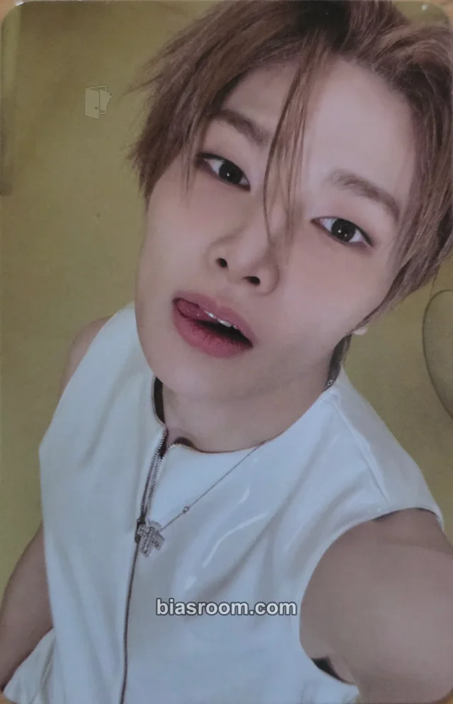 Stray Kids - I.N - This & That Album limited edition truck version album photocard