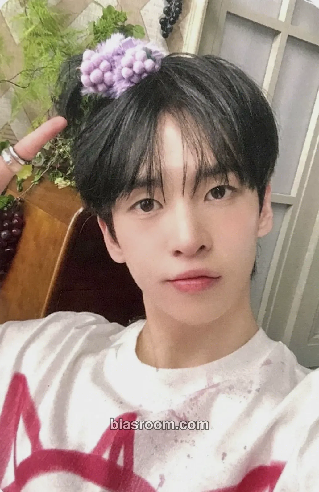 Allen Dare to Crave Photocard - CRAVITY - CRAVITY K-pop photocard