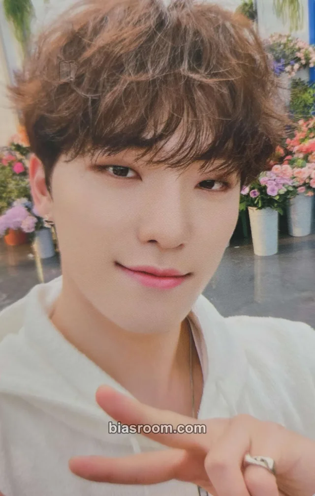 SEVENTEEN - Dino - SECTOR 17 Album shopee fansign