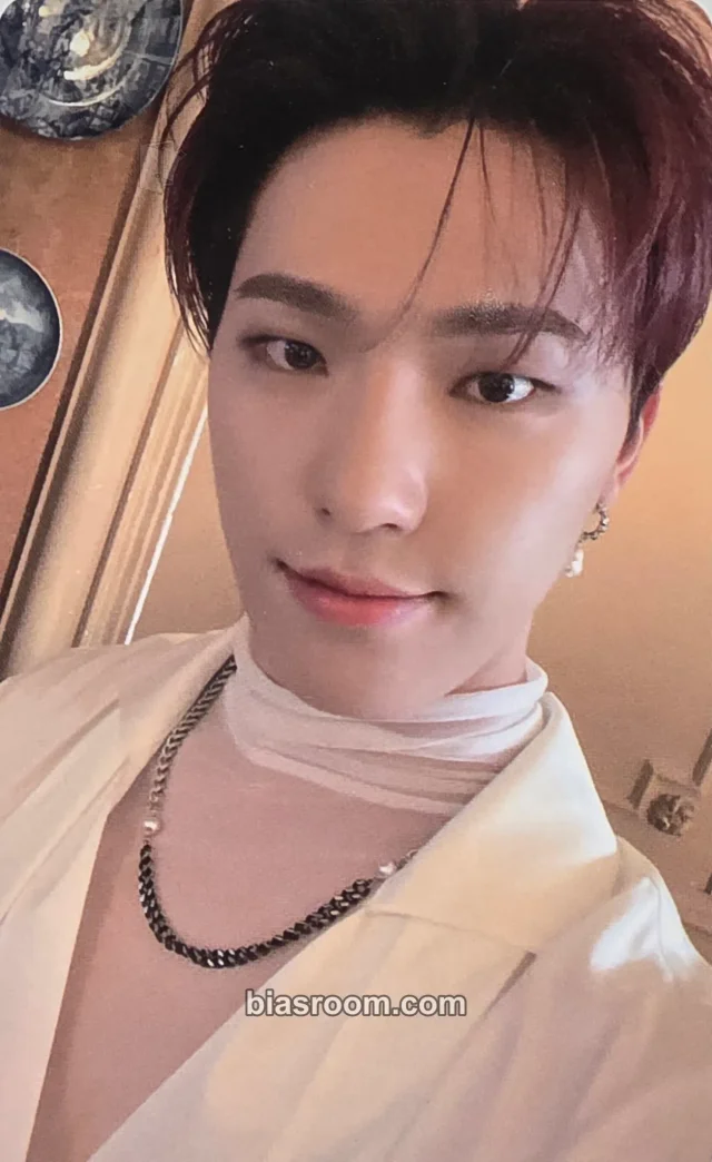SEVENTEEN - Dino - Social Club : Carat Photobook Other merch photocard