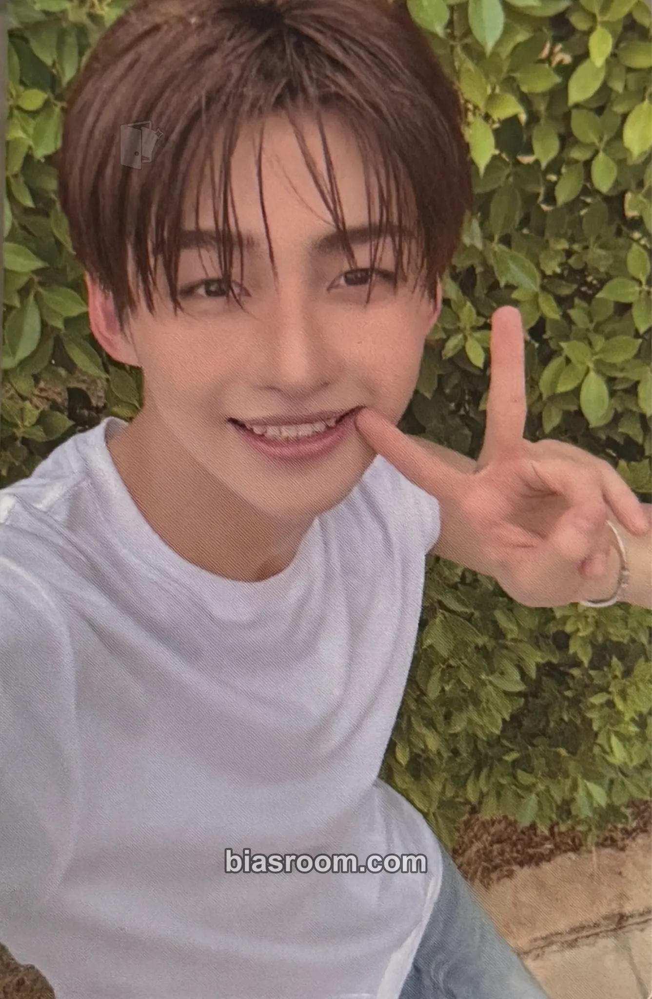 Jihoon SUMMER BEAT! Photocard - TWS - TWS K-pop photocard