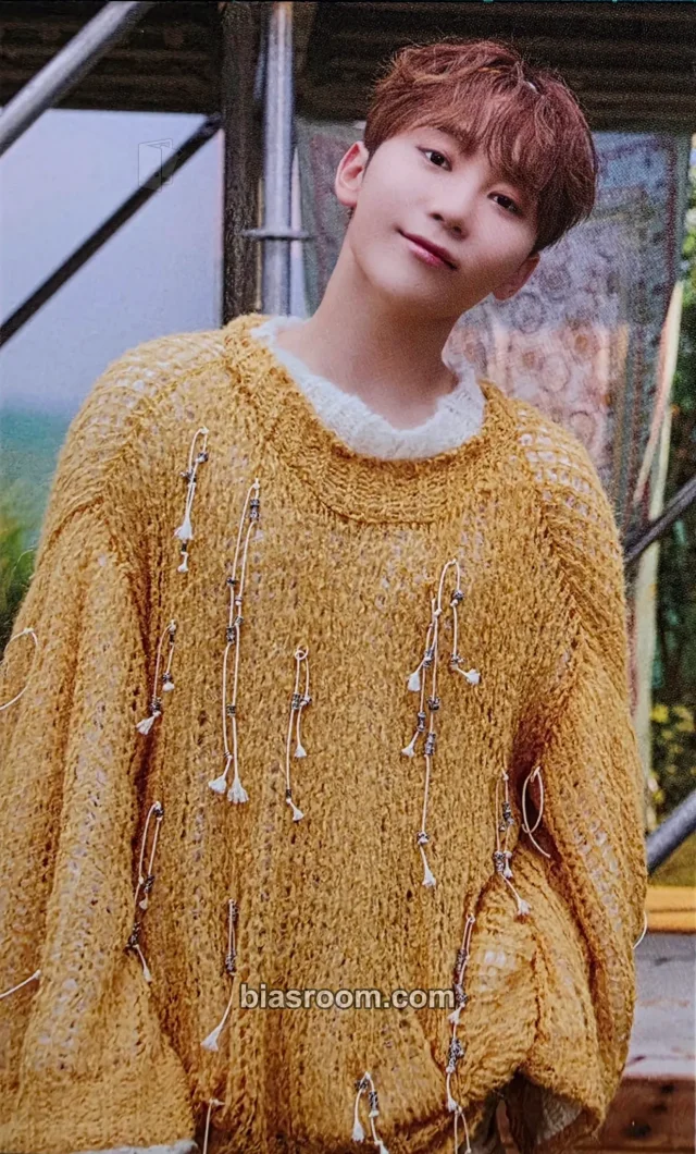SEVENTEEN - Seungkwan - Seventeenth Heaven Album tower records japan carat version pob (pre-order benefit)