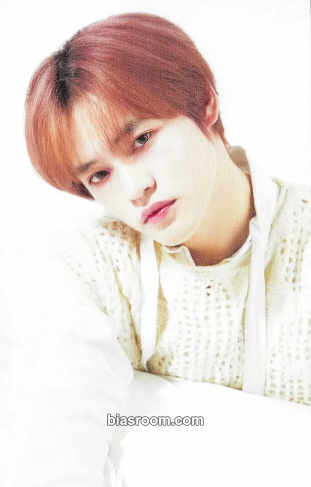 NCT DREAM - Chenle - Other season's greetings postcard kit inclusion